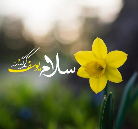 امام زمان عج