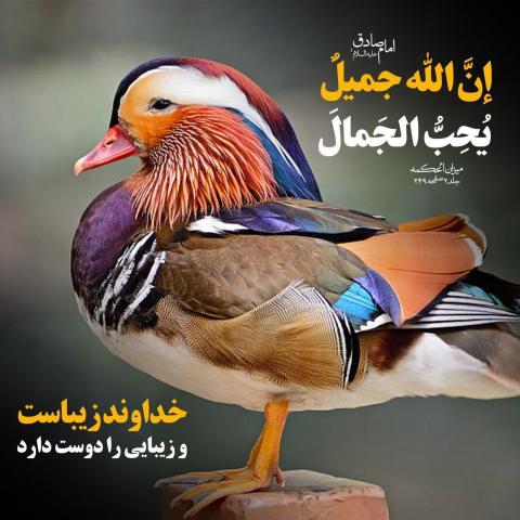 حدیث زیبایی