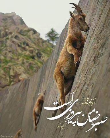 حدیث صبر
