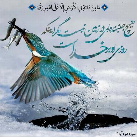 ضامن روزی