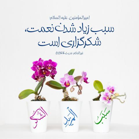 حدیث شکرگزاری