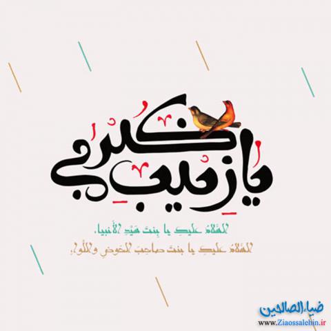 ولادت حضرت زینب سلام الله علیها و روز پرستار