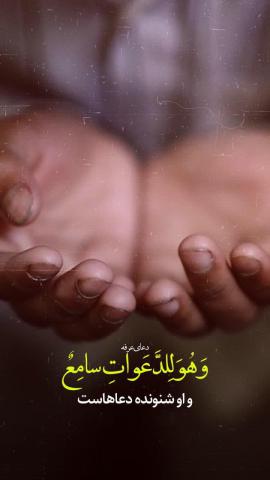 روز عرفه