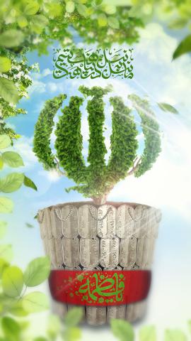 ولادت حضرت زهرا سلام الله علیها