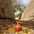 حدیث مسافران در کشتی