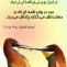 سبک زندگی اسلامی