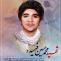 شهادت محمد حسین فهمیده و روز نوجوان و بسیج دانش آموزی