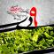 روز بصیرت و میثاق امت با ولایت