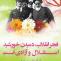 انقلاب اسلامی