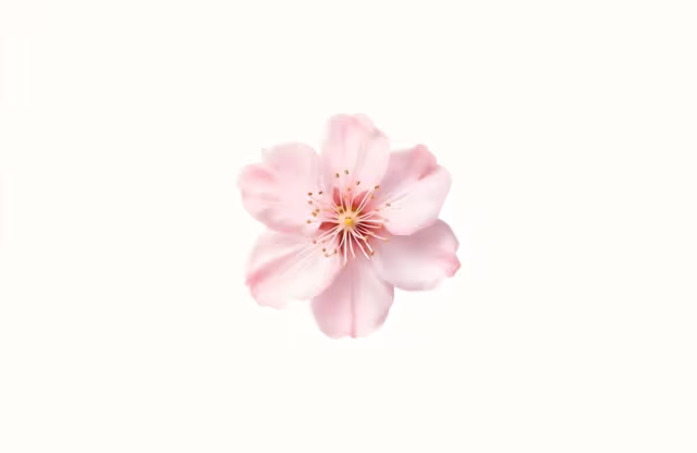 تصویر ۲۵۶۰×۱۶۶۴ برای پس‌زمینه و والپیپر