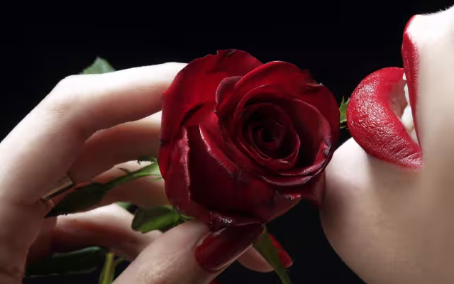 تصویر گل رز برای والپیپر و پس‌زمینه در موضوع علم و طبیعت