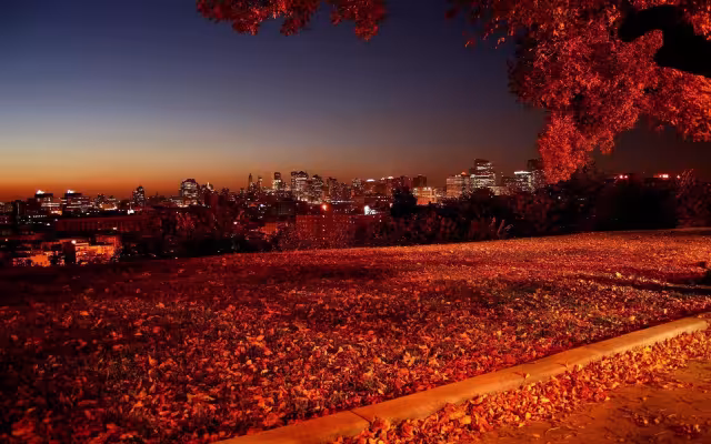 تصویر پاییز برای والپیپر و پس‌زمینه در موضوع علم و طبیعت
