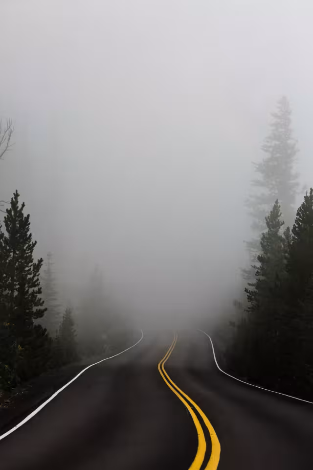 تصویر مه برای والپیپر و پس‌زمینه در موضوع علم و طبیعت