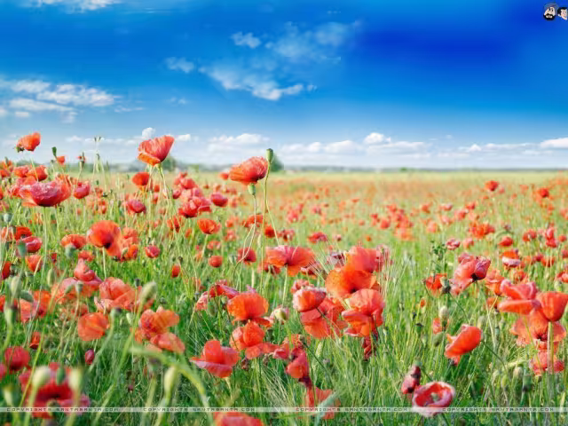 تصویر سانتا بانتا برای والپیپر و پس‌زمینه در موضوع تکنولوژی
