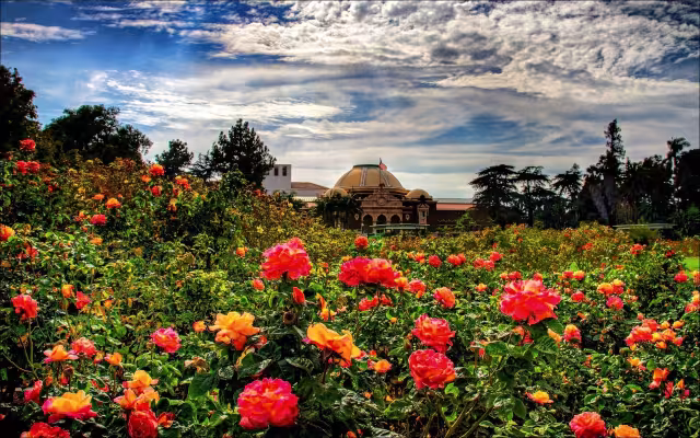تصویر باغ برای والپیپر و پس‌زمینه در موضوع علم و طبیعت