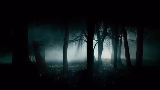 تصویر تیره برای پس‌زمینه و والپیپر