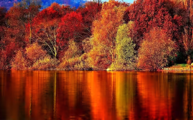 تصویر پاییز برای والپیپر و پس‌زمینه در موضوع علم و طبیعت