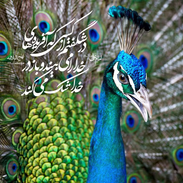 دیدن آفریده خدا
