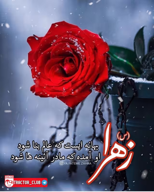 ولادت حضرت فاطمه زهرا
