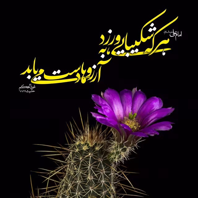 حدیث شکیبایی