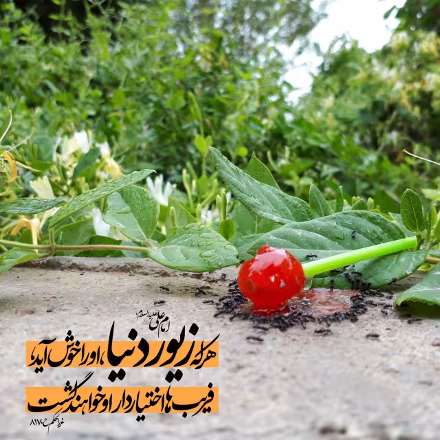 حدیث  زیور دنیا