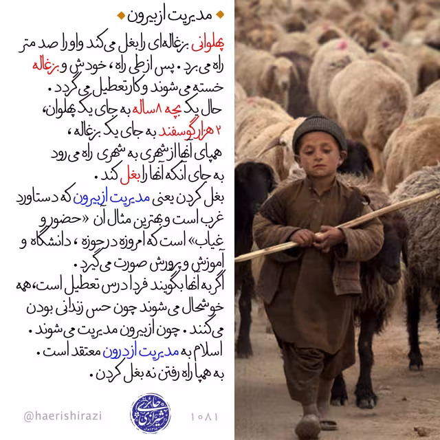 مدیریت