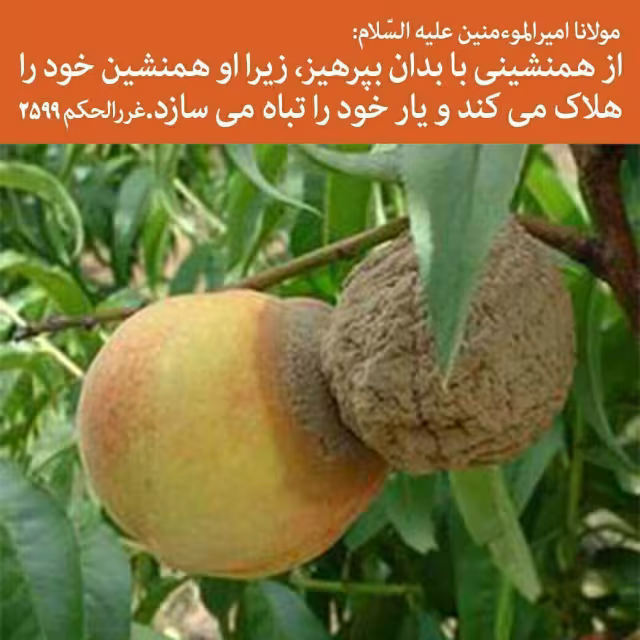 حدیث تاثیر همنشینی