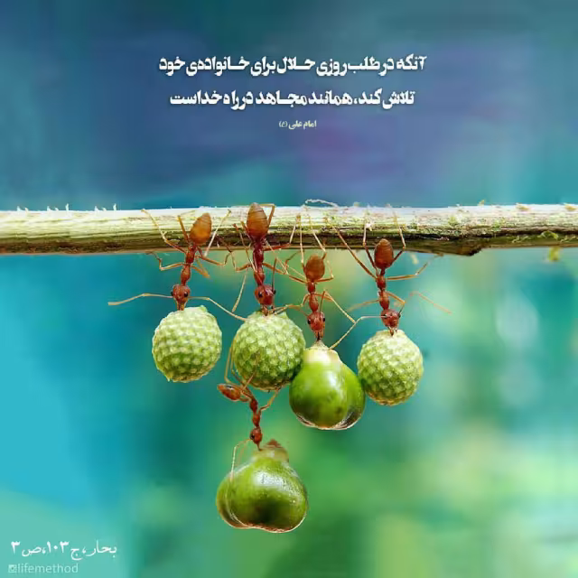 حدیث تلاش برای کسب روزی حلال