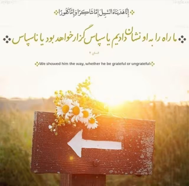 شناخت حقیقت