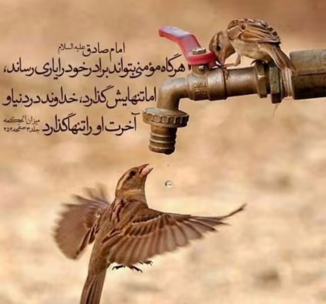 یاری رساندن برادر دینی