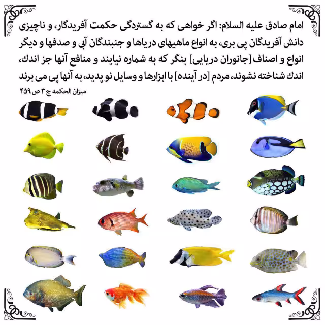 حدیث پی بردن به حکمت آفرینش خدا