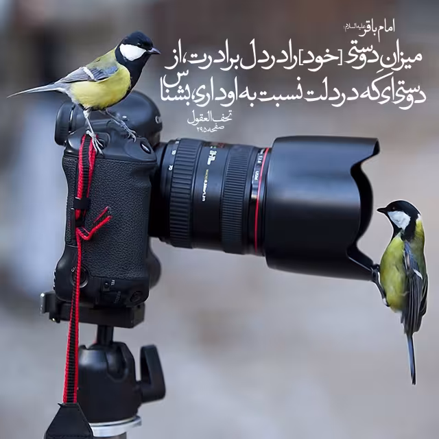 حدیث شناخت میزان دوستی