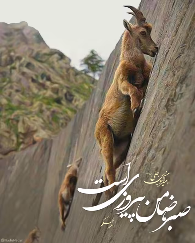 حدیث صبر