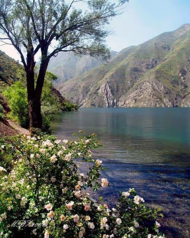 حدیث ضمانت بهشت