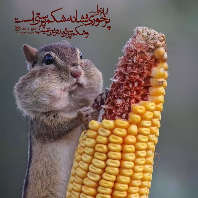 حدیث پرخوری