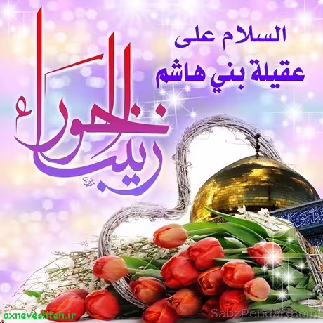ولادت حضرت زینب سلام الله علیها
