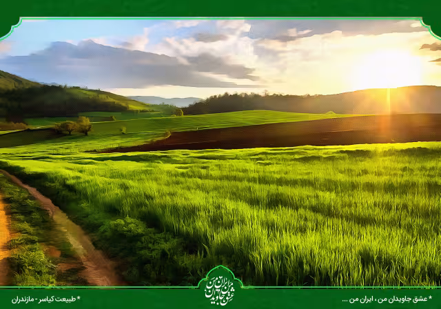 ایرانگردی - طبیعت کیاسر مازندران | تصویر باکیفیت برای طراحی
