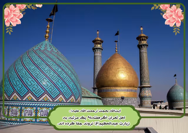 آیت الله بهجت/زیارت حضرت عبدالعظیم | تصویر باکیفیت برای طراحی