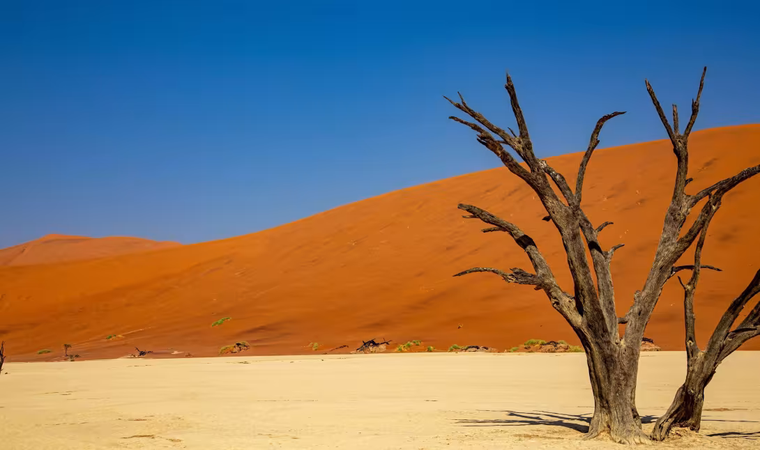 تصویر بیابان برای والپیپر و پس‌زمینه در موضوع علم و طبیعت