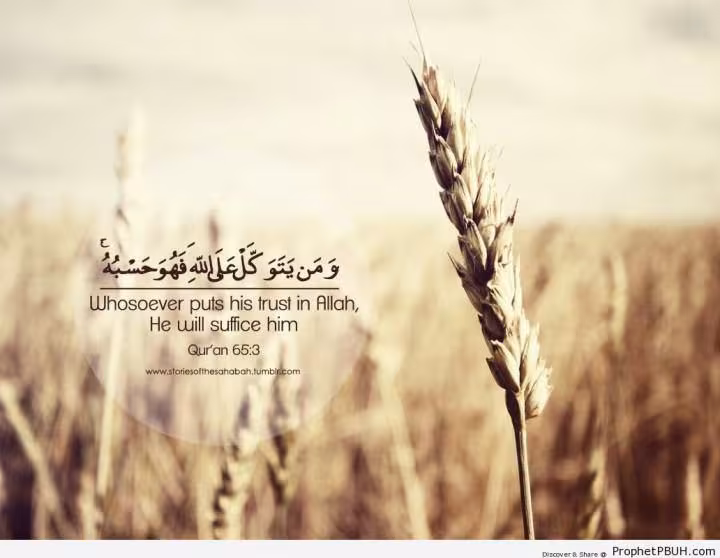 توکل کردن