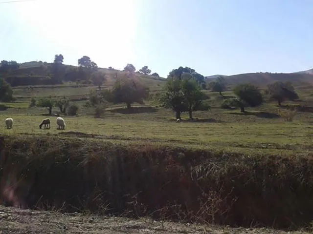 قلعه آوارسین
