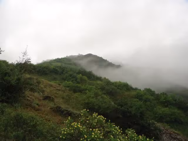 قلعه آوارسین