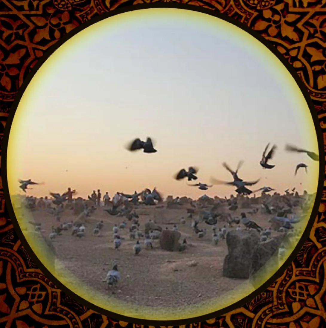 فوت ابراهیم بن محمد (صلی الله علیه و آله) + آواتار | ضیاءالصالحین