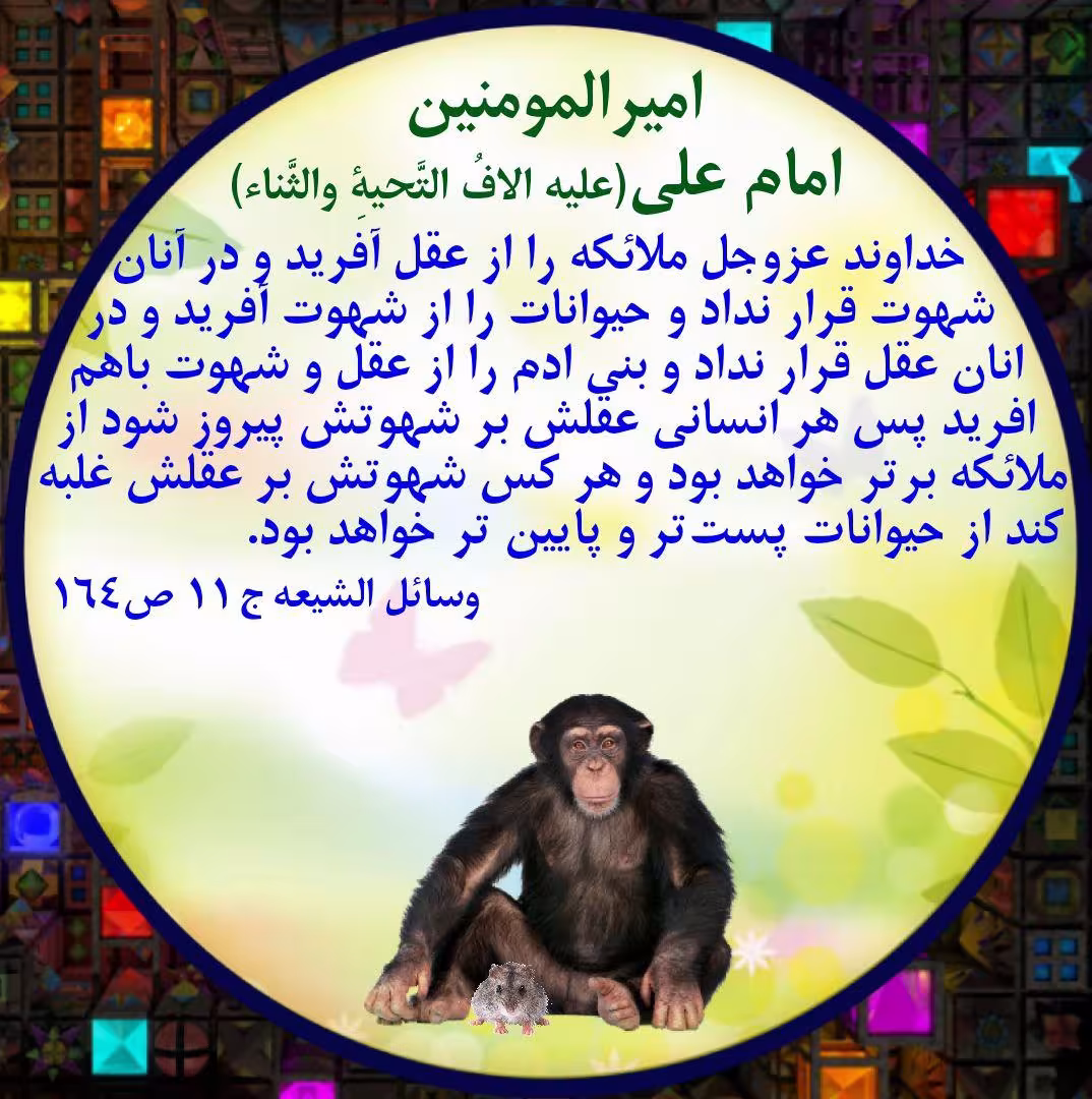 عقل و شهوت | ضیاءالصالحین