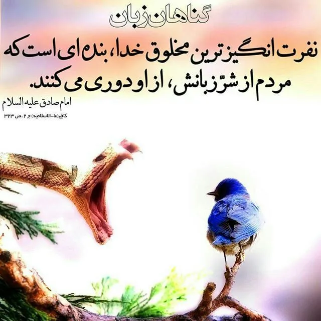 امام صادق علیه السلام
