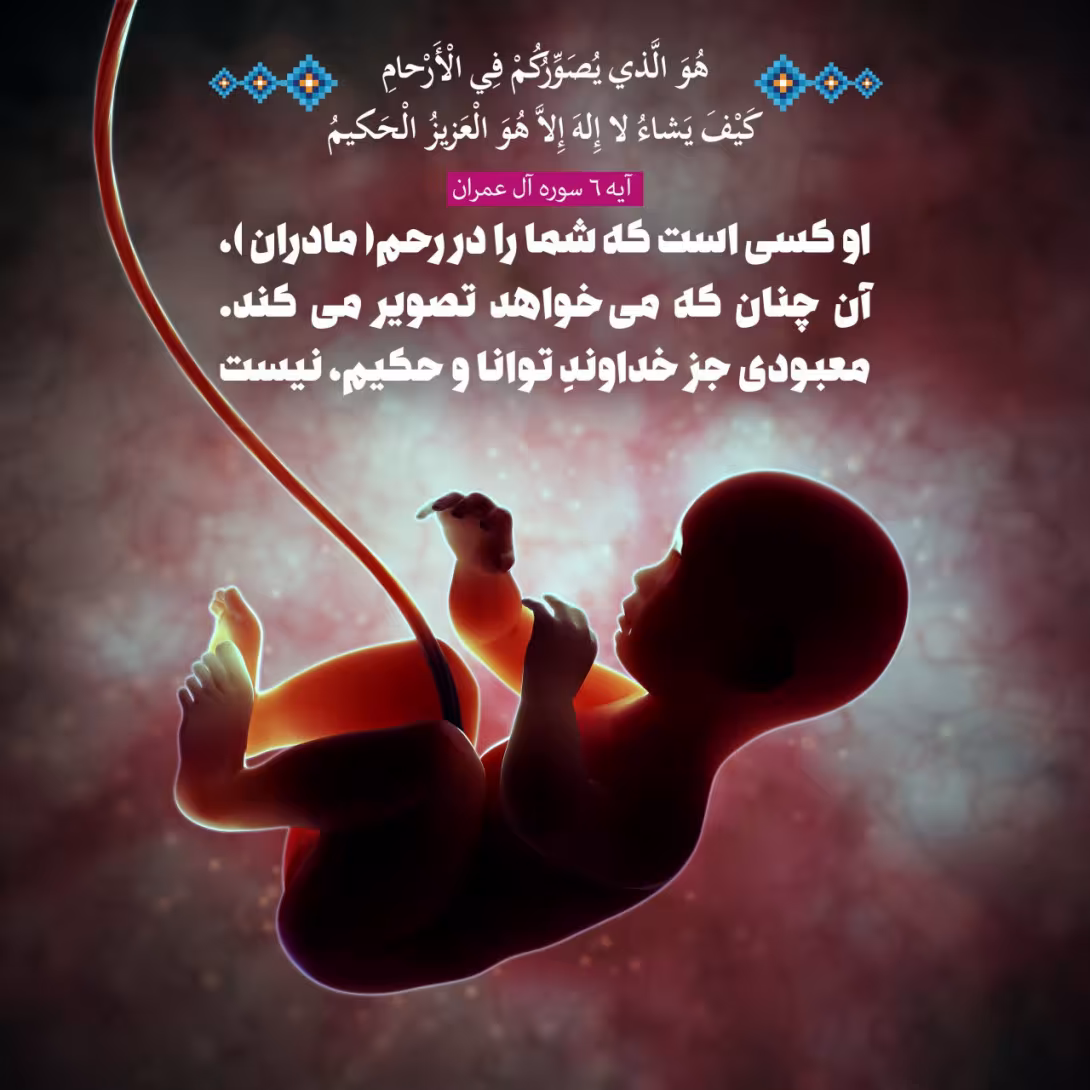 تصویر در رحم