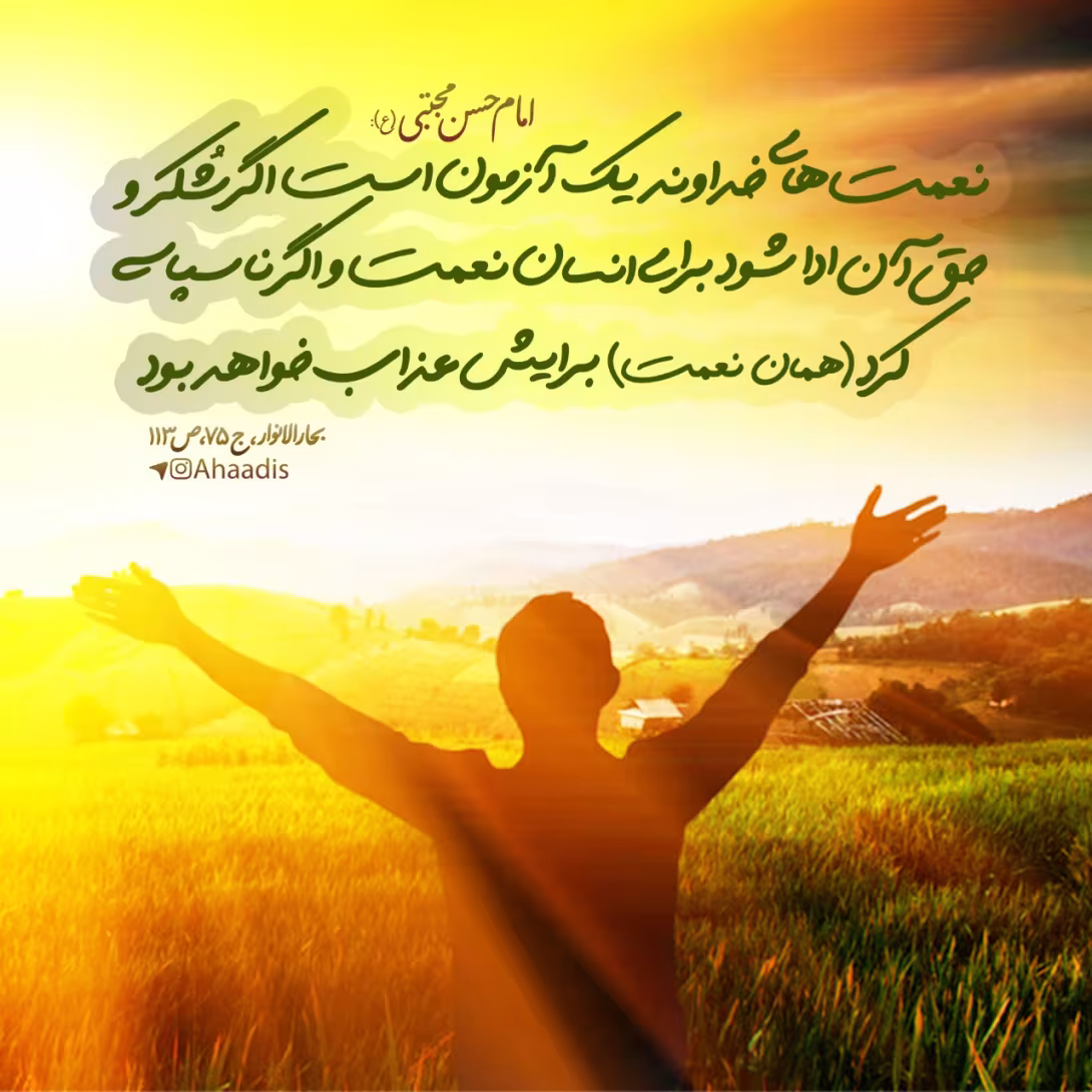 شکر نعمت