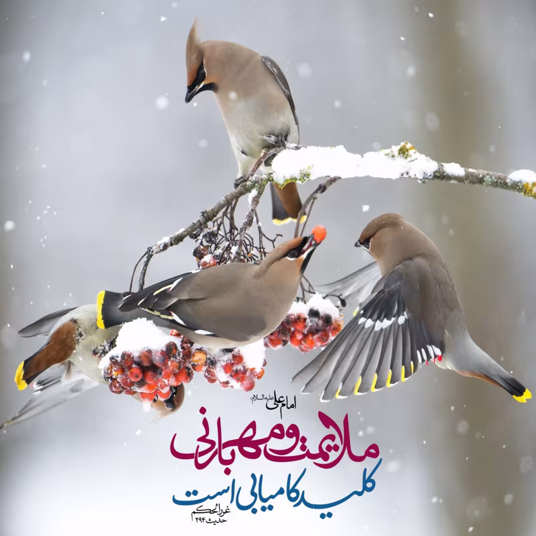حدیث ملایمت و مهربانی