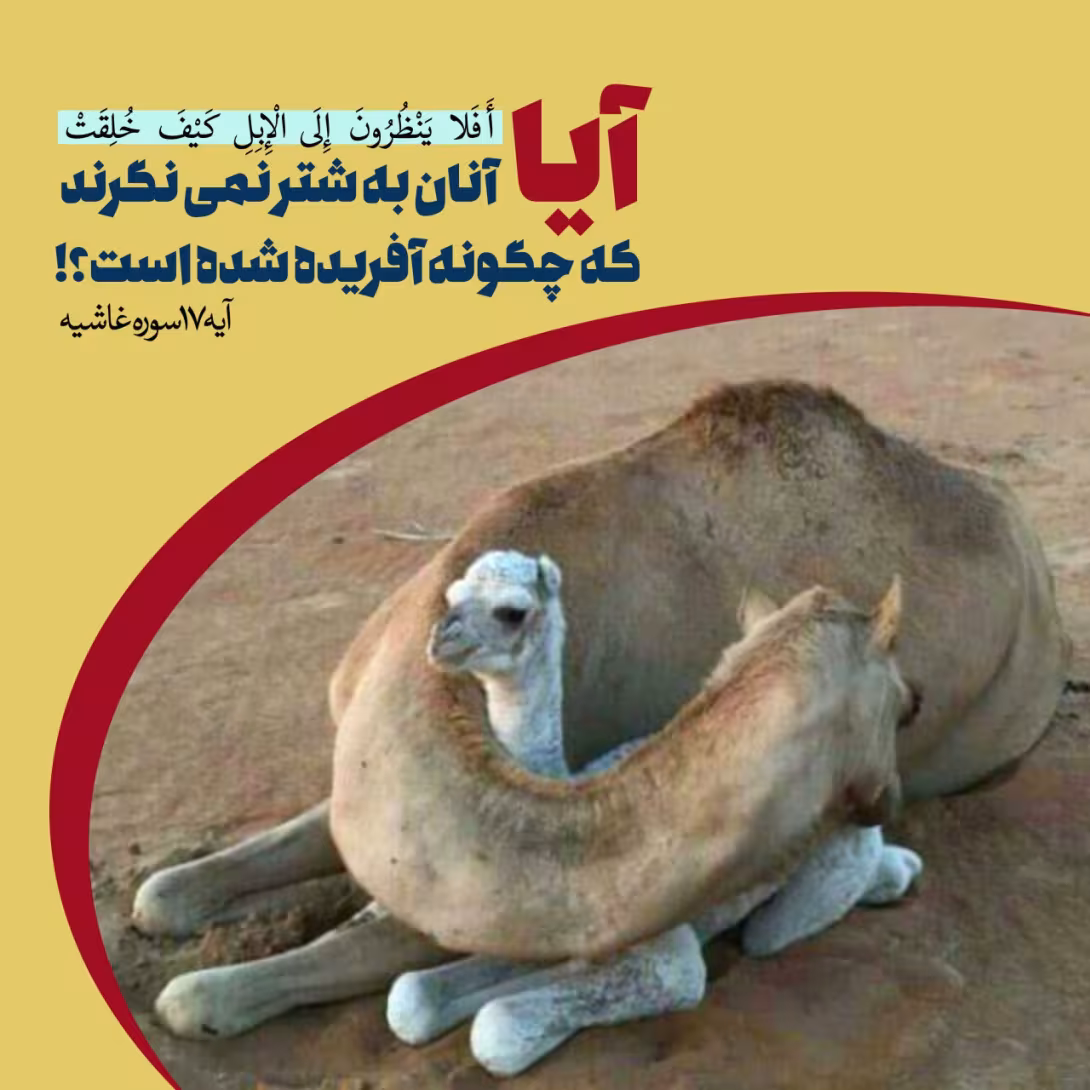 آفریدکار خدا