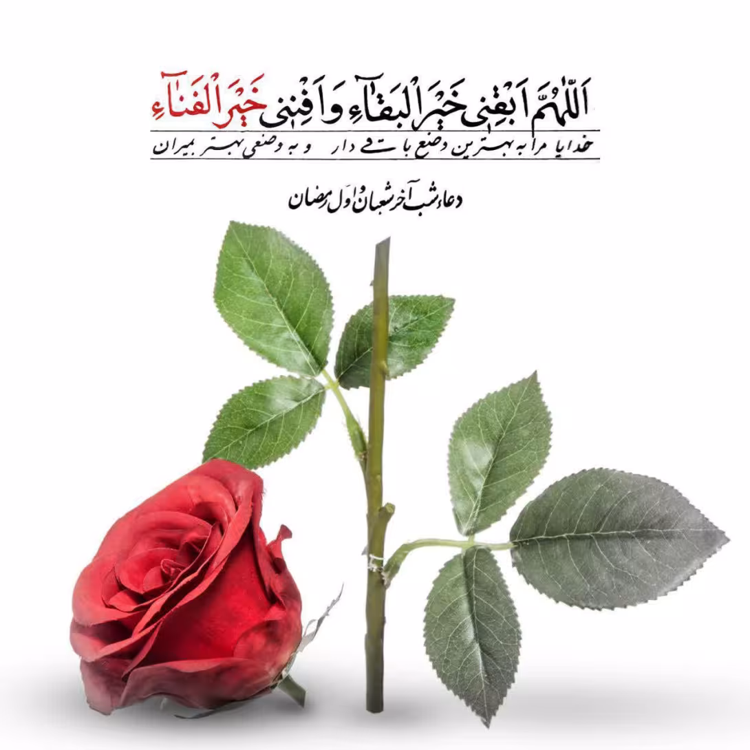 بهترین وضع